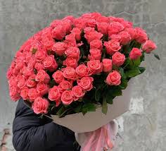 Carina  tinka skinti