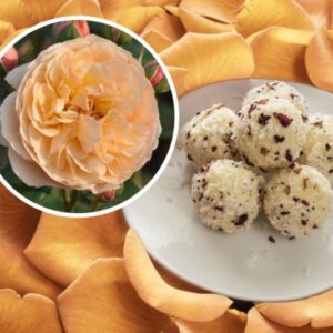 EVELINE WILD valgoma