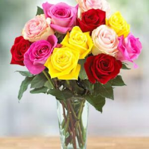 Kvepiančių rožių kolekcija10vnt.