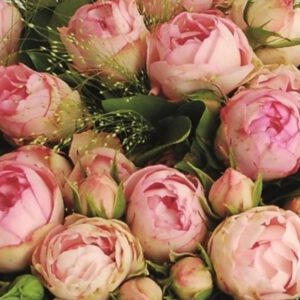 LOVELY ROKOKO vazone