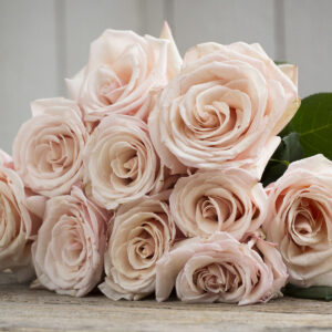 PAUL RICARD (MEINIVOZ)  vazone