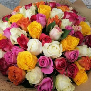 Romantiškų rožių rinkinys 10 rūsys plikos šaknis.